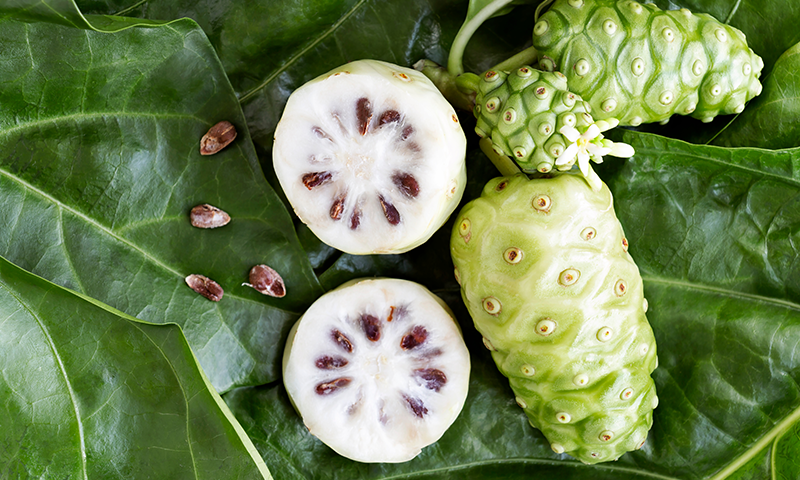 노니의 효능 총정리: 건강에 좋은 이유와 섭취 시 주의점